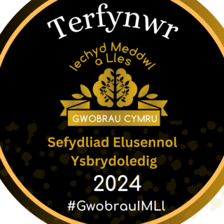 Inspirational Charitable Organisation Welsh